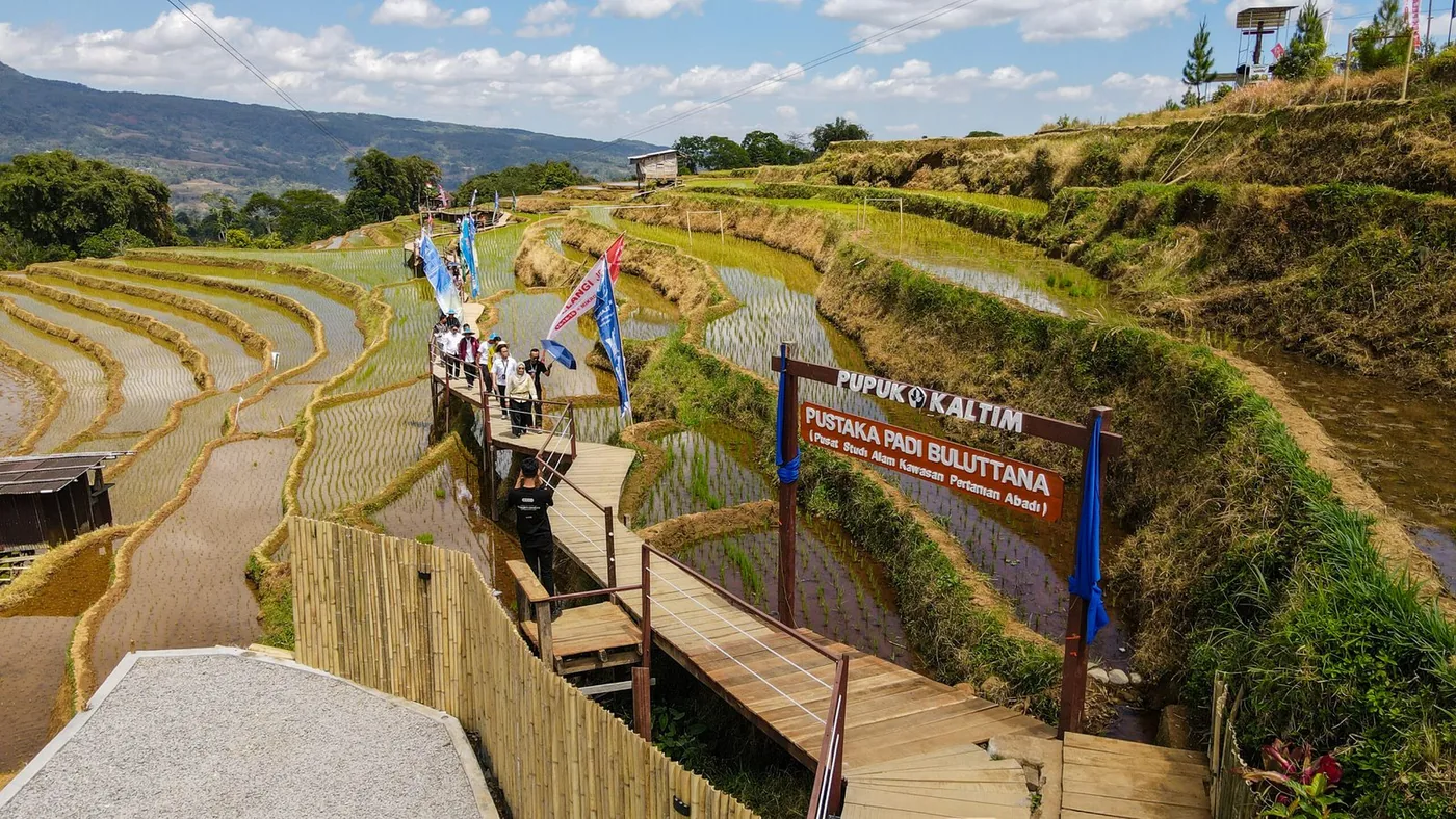 Naratalk: Eco-Trail 230 Meter Percepat Pascapanen Petani