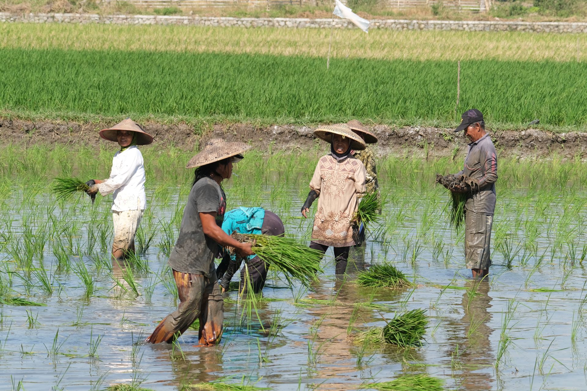 Cara Kerja & Alur Kunjungan