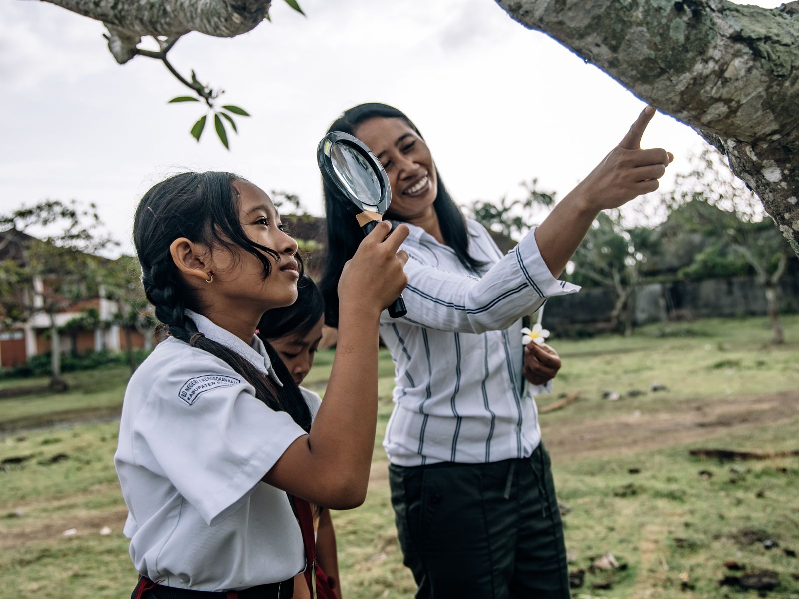 Kenali Budaya & Pertanian Bulutana