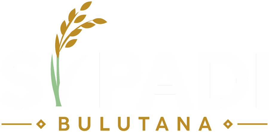 Sipadi Bulutana